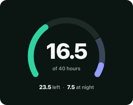 The Practice tab gauge with total, night and remaining hours